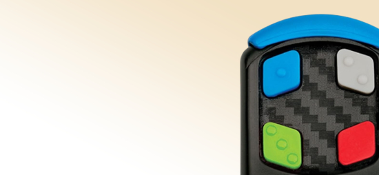 Gate Remote
